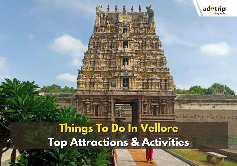 Best Things To Do In Vellore